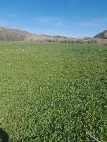 Terreno en calle del Valle de San Pedro