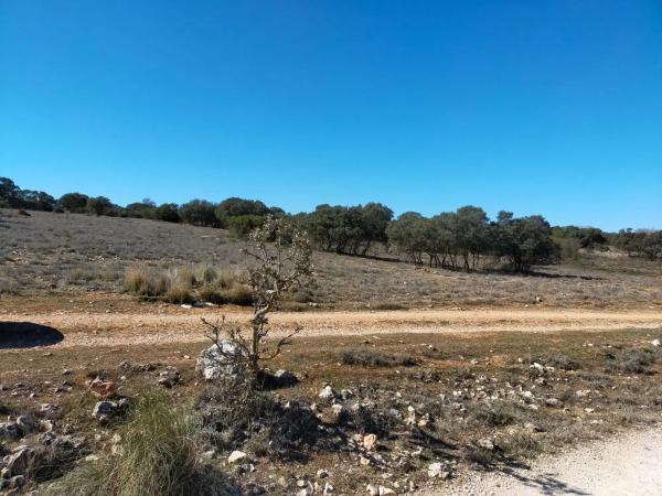 Terreno en camino de Viejo de Alcalá, 23