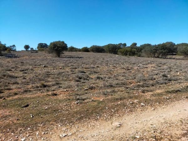 Terreno en camino de Viejo de Alcalá, 23