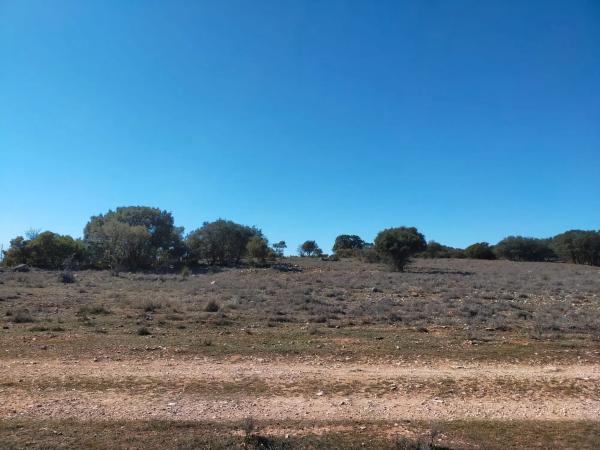 Terreno en camino de Viejo de Alcalá, 23