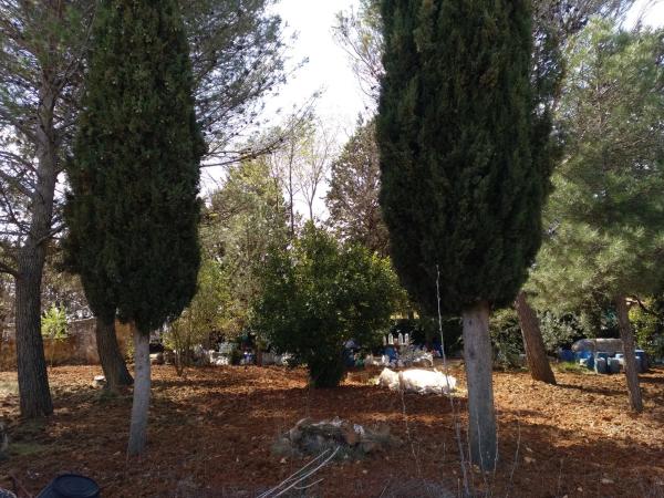 Terreno en avenida Central, 1