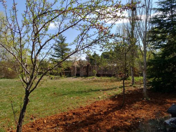 Terreno en avenida Central, 1