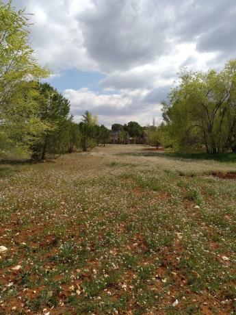 Terreno en avenida Central, 1