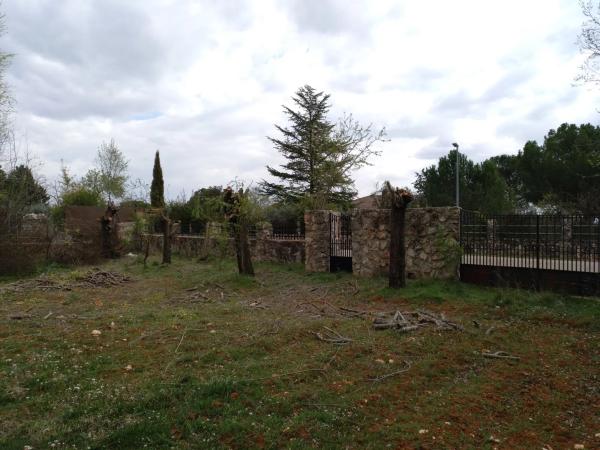 Terreno en avenida Central, 1