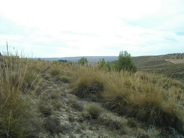 Terreno en avenida de las Naciones, 167