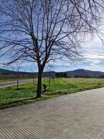 Terreno en Masia Cal Sadurni, 1