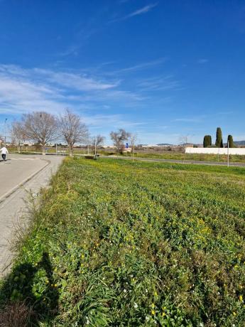 Terreno en Masia Cal Sadurni, 1