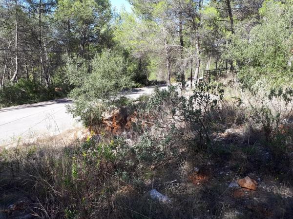 Terreno en avenida Hermenegildo Almirall