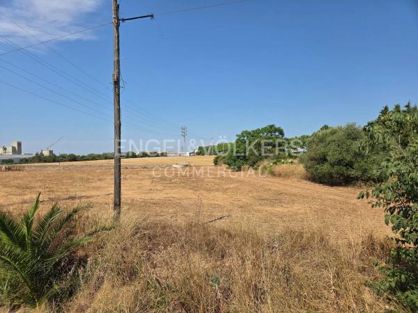 Terreno en avenida de Cal Salines