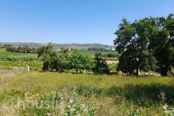 Terreno en Bo Serra - Pla De