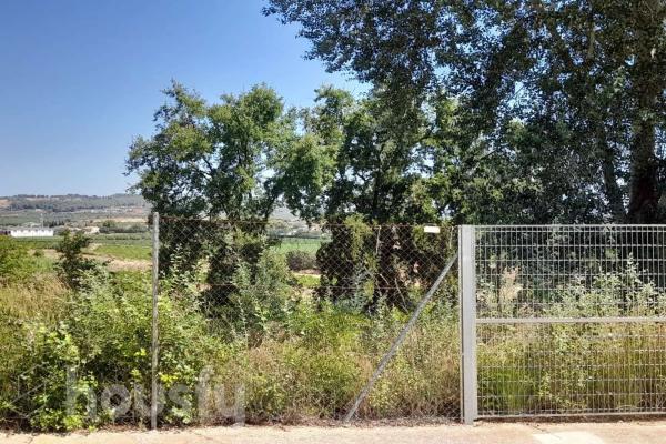 Terreno en Bo Serra - Pla De