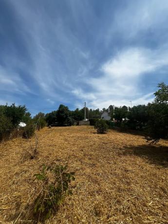 Terreno en avenida del Riu, 20