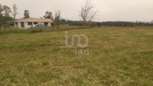 Terreno en Barceloneta - Molí d'En Rovira