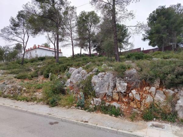 Terreno en calle de la rosa