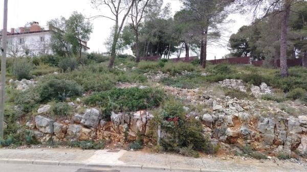 Terreno en calle de la rosa
