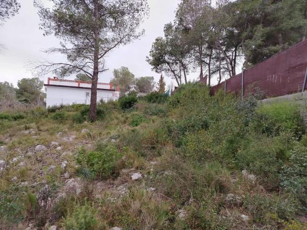 Terreno en calle de la rosa