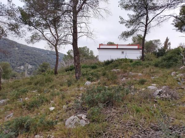 Terreno en calle de la rosa