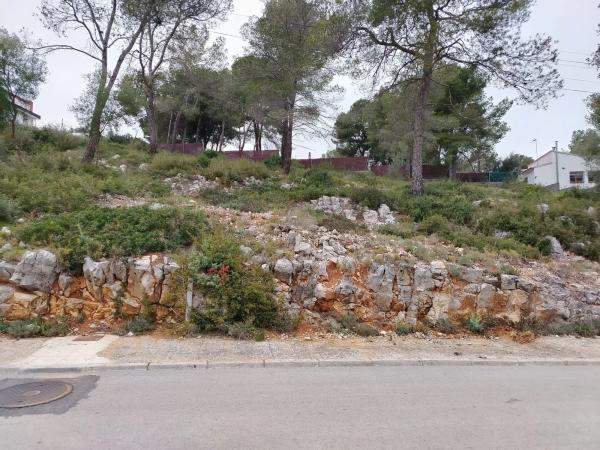 Terreno en calle de la rosa