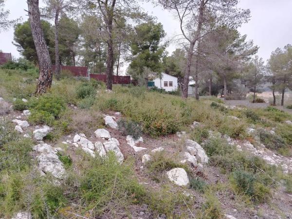 Terreno en calle de la rosa