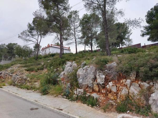 Terreno en calle de la rosa