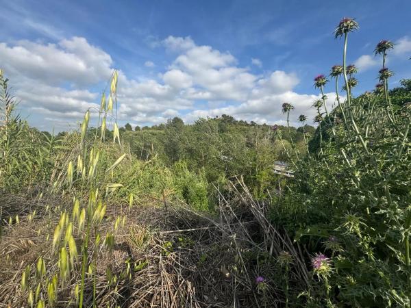 Terreno en Sant Pere de Riudebitlles