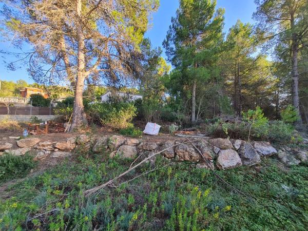Terreno en calle Ull de Llebre, 8