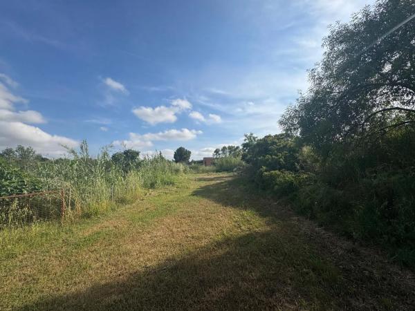 Terreno en Sant Pere de Riudebitlles