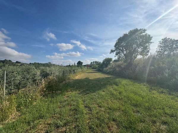 Terreno en Sant Pere de Riudebitlles
