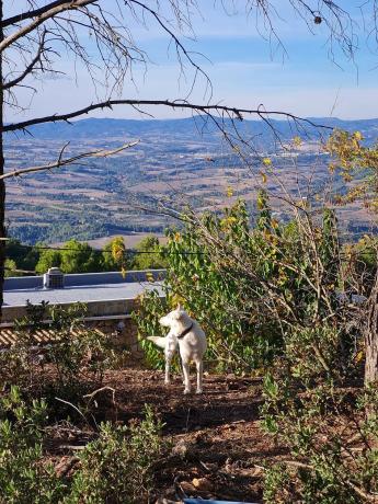 Terreno en calle Ull de Llebre, 8