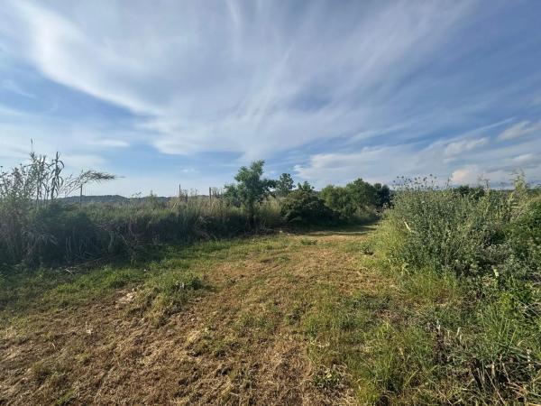 Terreno en Sant Pere de Riudebitlles