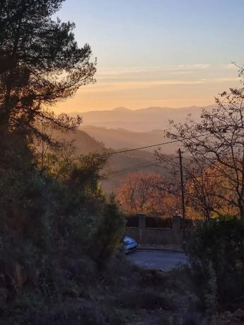 Terreno en calle Ull de Llebre, 8