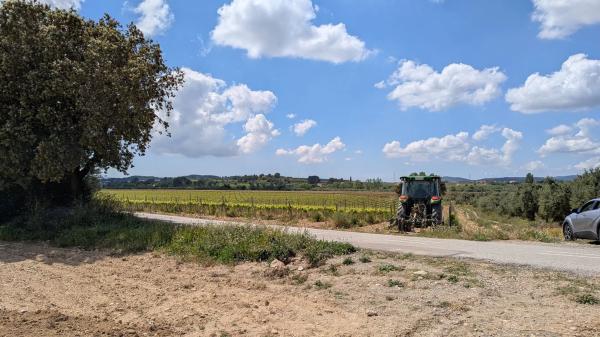 Terreno en guardiola