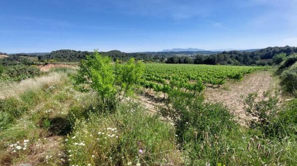 Terreno en Sant Quintí de Mediona