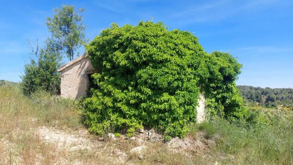 Terreno en Sant Quintí de Mediona
