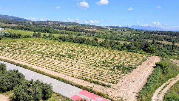 Terreno en guardiola