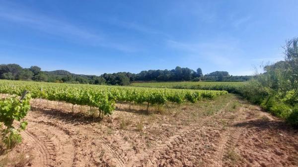 Terreno en Sant Quintí de Mediona