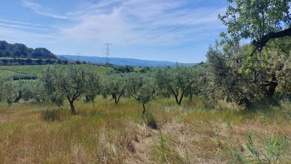 Terreno en Sant Quintí de Mediona