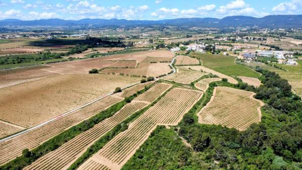 Terreno en guardiola
