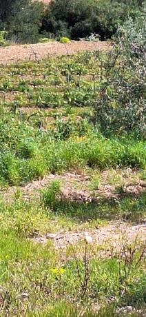 Terreno en Sant Quintí de Mediona