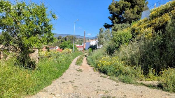 Terreno en guardiola