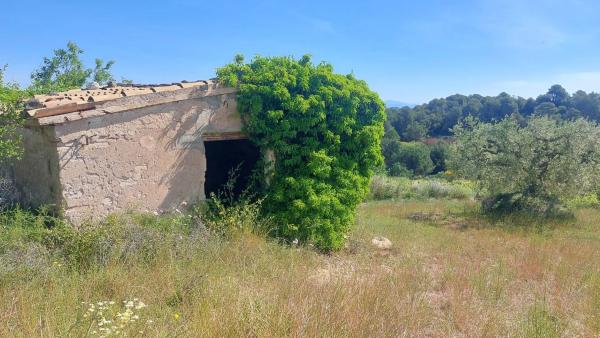 Terreno en Sant Quintí de Mediona