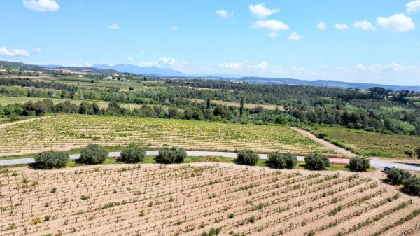Terreno en guardiola