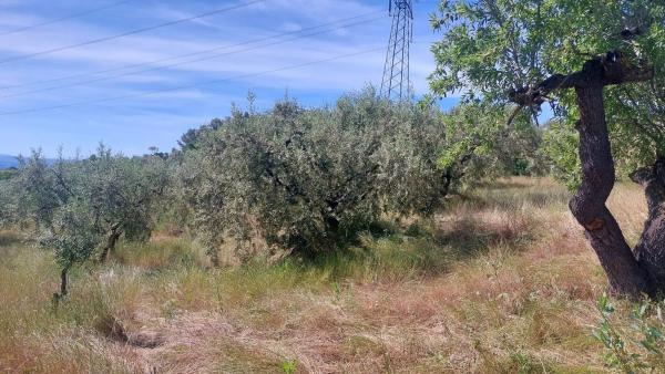 Terreno en Sant Quintí de Mediona