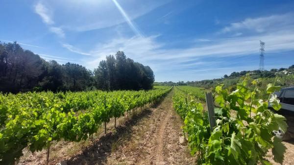 Terreno en Sant Quintí de Mediona