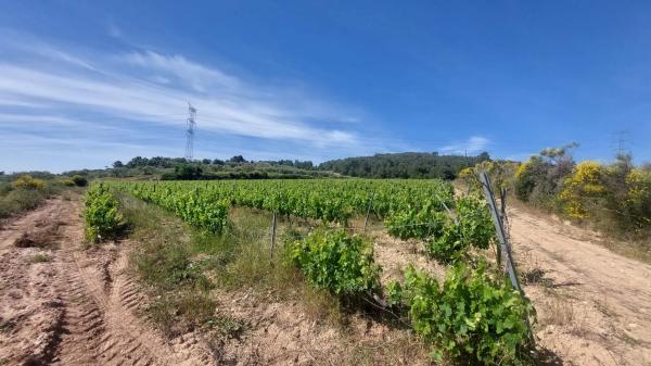 Terreno en Sant Quintí de Mediona