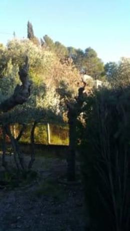 Terreno en calle Mossèn Jacint Verdaguer