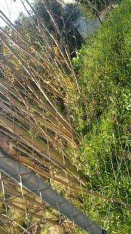 Terreno en calle Mossèn Jacint Verdaguer