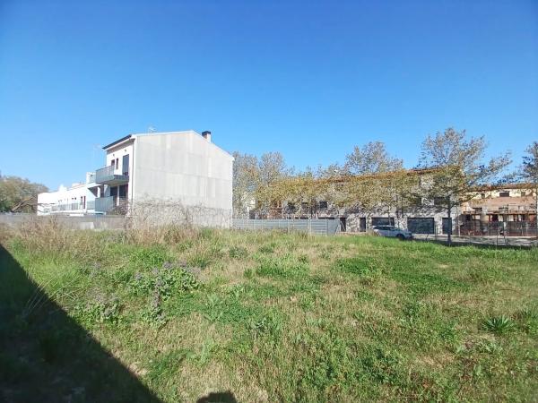 Terreno en Barceloneta - Molí d'En Rovira