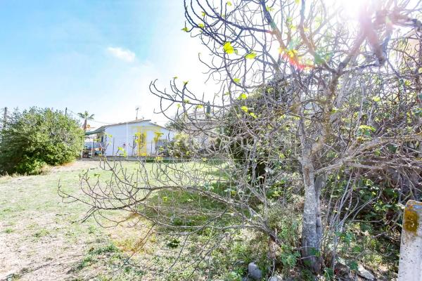 Terreno en camino de la Creu s/n