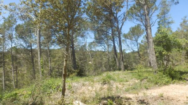 Terreno en Urbanitzacio la Rimbalda, 63